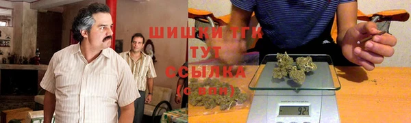 сатива Верхний Тагил