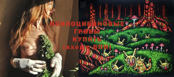 сатива Верхний Тагил