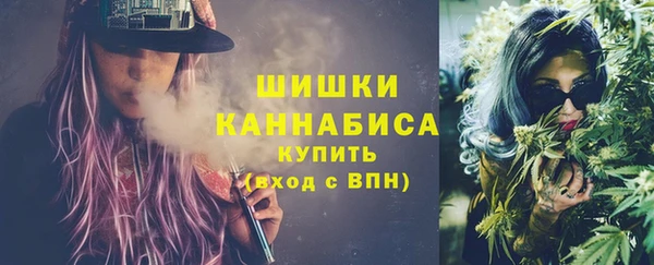 сатива Верхний Тагил