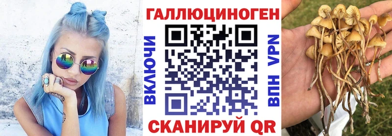 Галлюциногенные грибы мицелий  Курск 